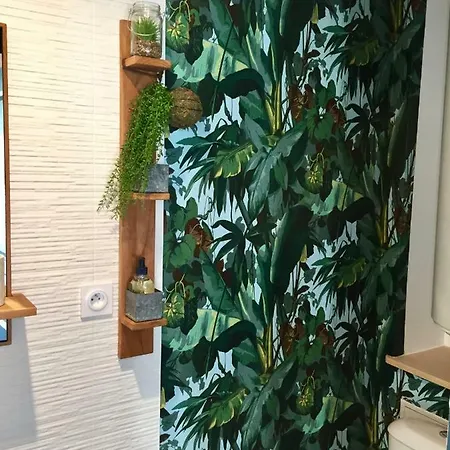 Daire La Cage Aux Oiseaux Honfleur